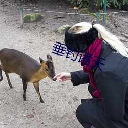 垂钓诸天