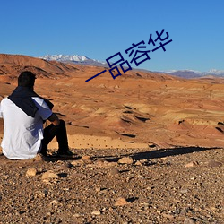 一品容华