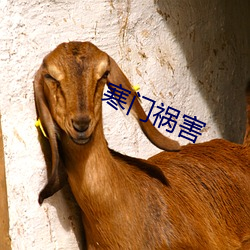 寒(hán)门祸(huò)害