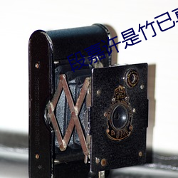 段嘉许是(shì)竹已真实(sh��)经历(l��)