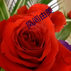 鳳間由美