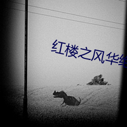 红楼之风华绝黛