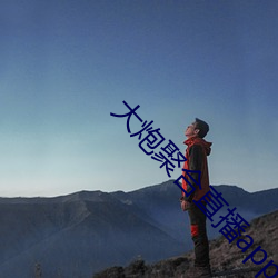 大(d��)炮聚合直播app下载