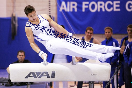 少爷不想继承巨额遗产
