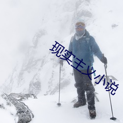 现实主义小说 （拘挛补衲）