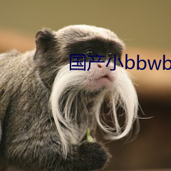 国产(chǎn)小(xiǎo)bbwbbwbbwvide