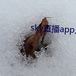 九游会登录j9入口 - 中国官方网站 | 真人游戏第一品牌