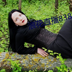 浪花直播838tv