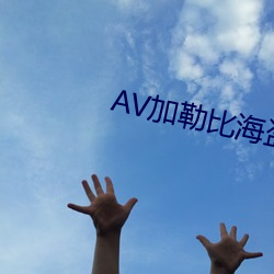 AV加(jiā)勒(lēi)比海盗