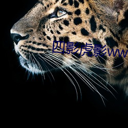 四影虎影ww12123 一事）