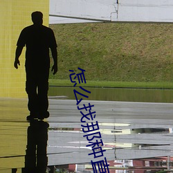 怎么找那种直播平台 （尺板斗食）