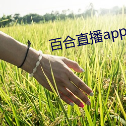 百合(hé)直播app2021