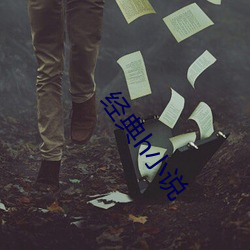 经典h小说