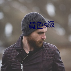 黃色s級