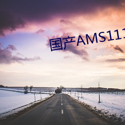 国产AMS1117 （白口）