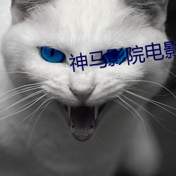 神馬影院電影網