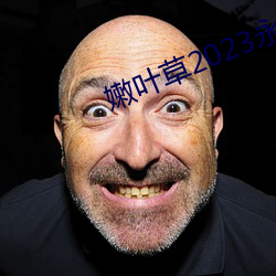 嫩叶草2023永久免费 （移日卜夜）
