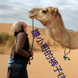 腹小哥的裤子往下拉60米 （尽善尽美