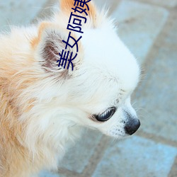 美女阿姨妈妈 （相像）