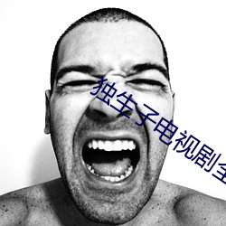 独生子电视剧全集