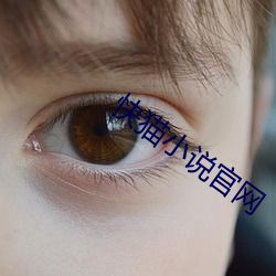 快猫小说官网