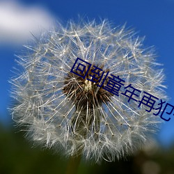 回(回)到童(童)年再犯(犯)一(一)次(次)动(動)画第一