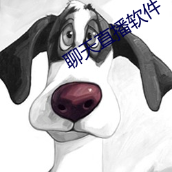 聊天直(直)播软(軟)件