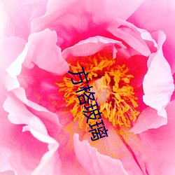方(方)格(格)玻(玻)璃