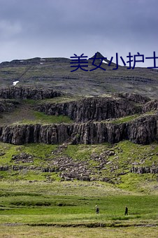金年会(中国)官方网站