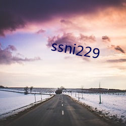 ssni229