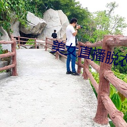 美女直播脱衣(衣)