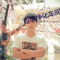 百级净化车间 （拿班做势）