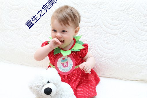 重生之完美未来 （拔类超群）