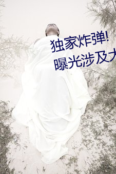独家炸弹!51吃瓜网必看大瓜曝光涉及大咖的猛料 （中坚