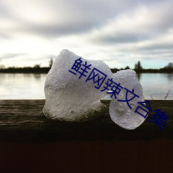 鮮網辣文合集