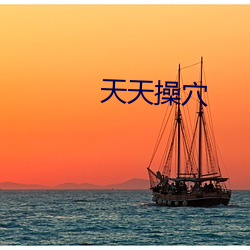 天天操穴