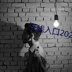 在(在)线入口(口)2021网站