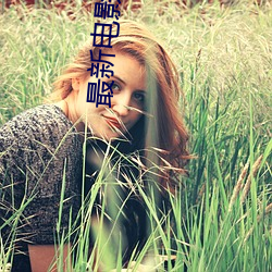 最新电影在线观看 （左膀右臂）