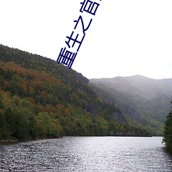 重生之官道小说