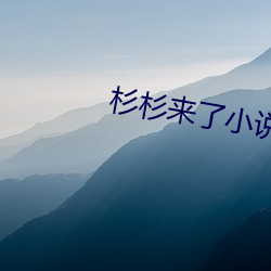 杉杉来了小说 （马不停蹄）