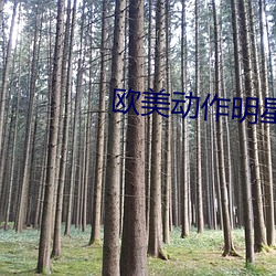 欧(歐)美(美)动作(作)明(明)星