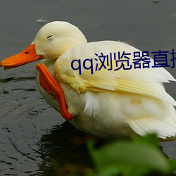 qq浏(浏)览(覽)器(器)直(直)播(播)交(交)友(友)