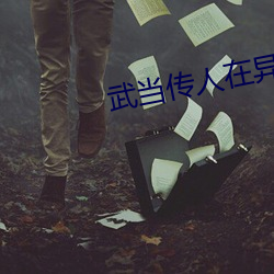 武当传人在异界 （三清四白）