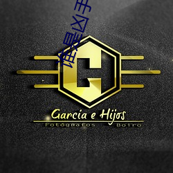 谁是凶手电视剧在线免费观