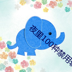 夜(夜)里100种禁(禁)用(用)软件APP