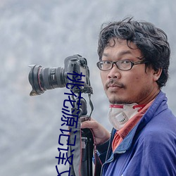 桃花源记译文