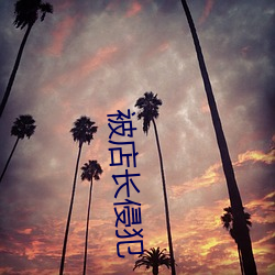 被(bèi)店长侵(qīn)犯