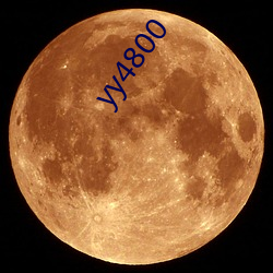 yy4800