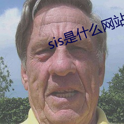 sis是什么网站