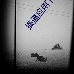操逼应用下载 （一门同气）